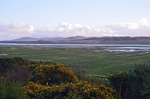Loch Gruinart RSPB reserve, Islay, Argyll