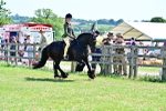 SBM_13997