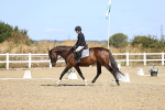 SBM_013203