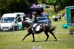 216-Tarka_Abraham-RICHAKER_ENDEAVOUR portfolio