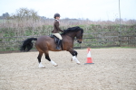 SBM_007075
