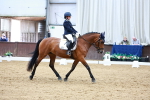SBM_002441