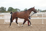SBM_07848