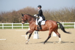 Class 30 - FEI intermediate I portfolio