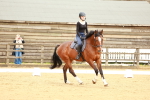 Class 5-4 - Novice 2-Prelim 3 portfolio