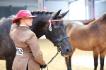 SBM_02332
