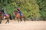 WJ6_7639