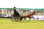 SBM_02724