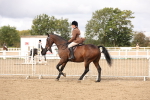 SBM_02833