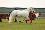 SBM_04299