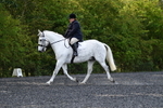 WJ5_8973
