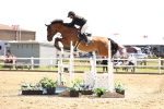 SBM_004181