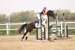 SBM_002441