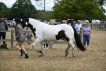 WJ6_8392