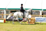 SBM_13326