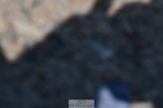 230520A-115659-00720