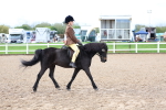 SBM_00373