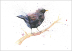 Blackbird Limited Edition Print 315