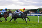 171026-Race 5-Brighton Boy-5982