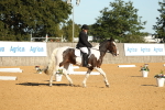 SBM_16453