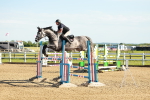 SBM_003175