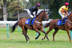 20140907Fontwell044