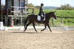 Class 5 - Novice 3 portfolio