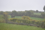 WJ5_7346