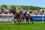040526-Race 4-Alfa Duplicate-2306