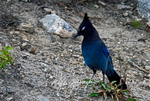 3HPhotography10-6-24_RMNP_0214_