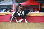 SBM_09599