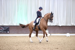SBM_009209