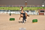 Wednesday Trot Up portfolio