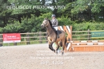 CLASS 10 SUN Clear Round Show Jumping portfolio