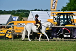 SBM_19907