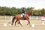 SBM_009418