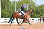 239-Lucinda.Paull-Imperatrix portfolio
