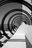 Concentric Circles