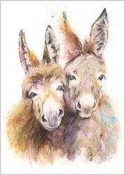 EQUIDAE portfolio
