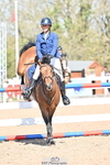 Cls 29, YH 6yr 1.20m portfolio