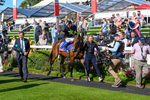 240824-Race 4-Magical Zoe-1116