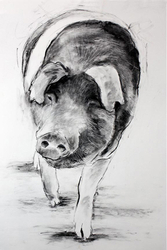 portrait commissions portfolio