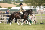 SBM_09162