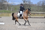BPP_9446