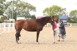 SBM_17005