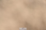 240514A-162739-00047