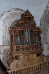 Organ