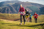 Sale Fell-557