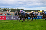 160926-Race 7-Star Suepreme-1866