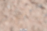 250511-090336-12858